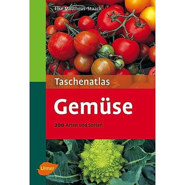 Gemüse, Elke Mattheus-Staack