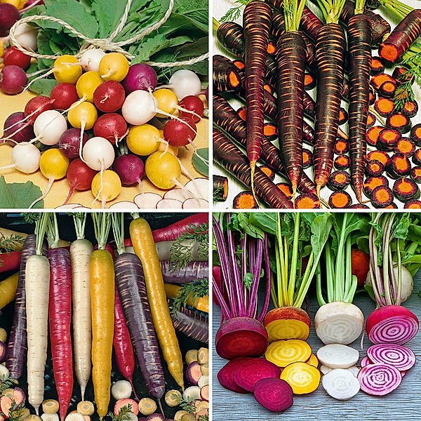Gemüsesamen Bunte Gemüsespezialitäten, 4 Sorten