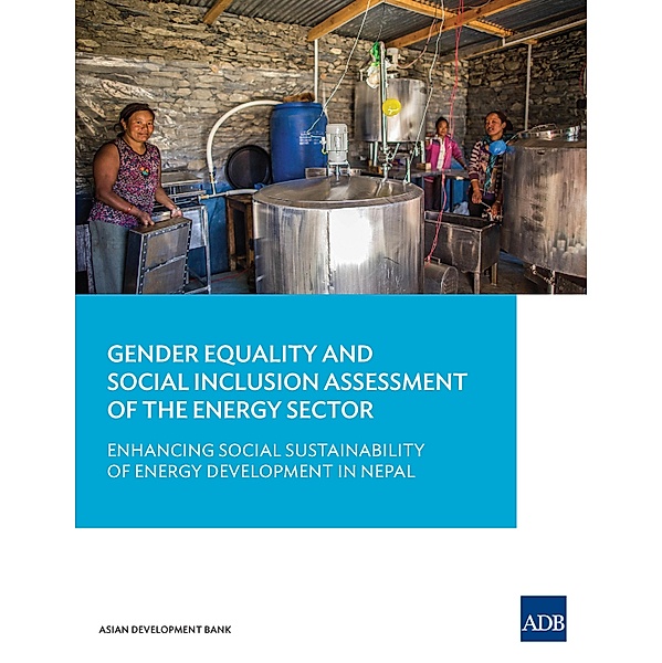 Gender Equality and Social Inclusion Assessment of the Energy Sector