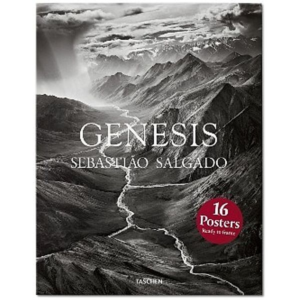 Genesis - Sebastiao Salgado, Poster Box, Sebastião Salgado