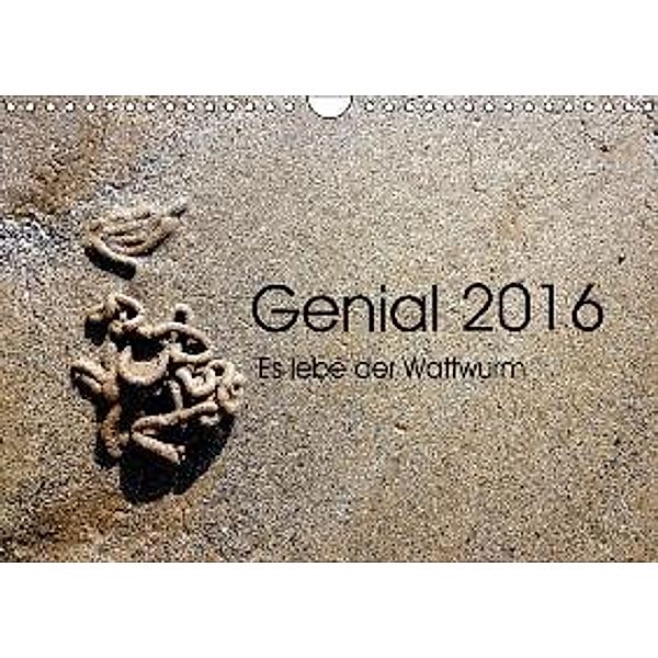 Genial 2016 - Es lebe der Wattwurm (Wandkalender 2016 DIN A4 quer), Sybille Kesslau