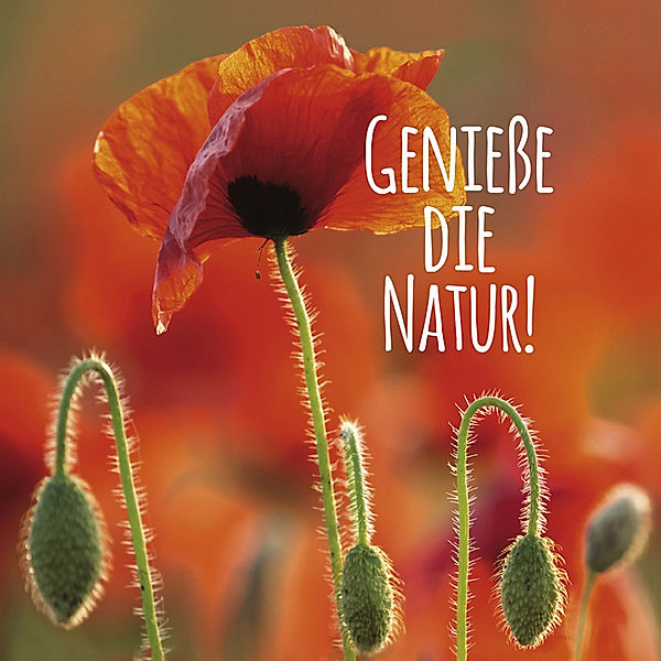 Genieße die Natur!