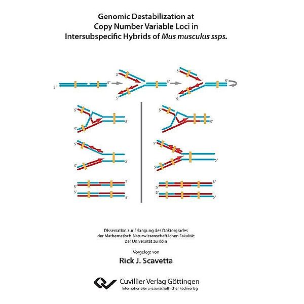 Genomic Destabilization at Copy Number Variable Loci in Intersubspecific Hybrids of Mus musculus ssps.