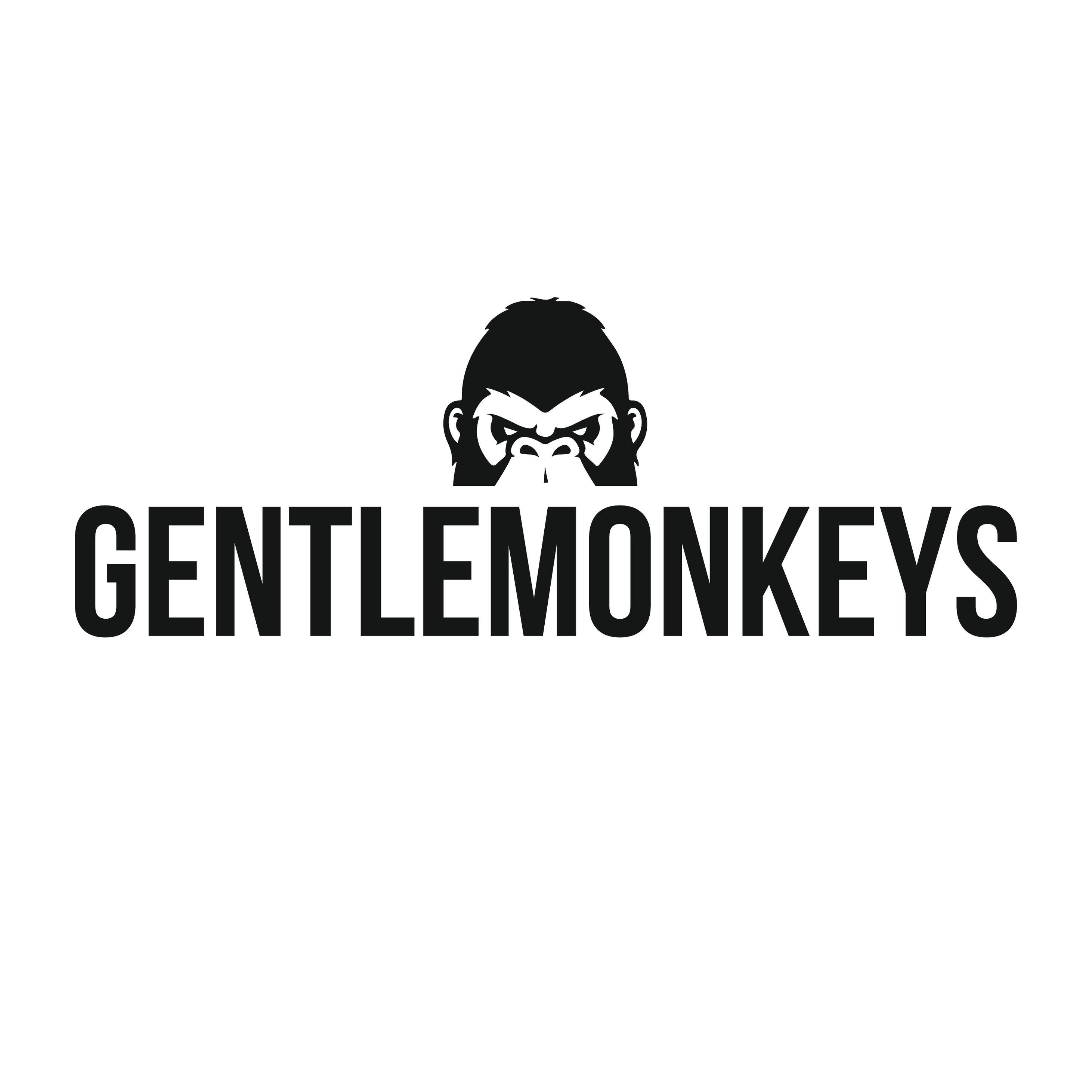 Gentle Monkeys Fahrzeugreiniger-Set 20 Tücher