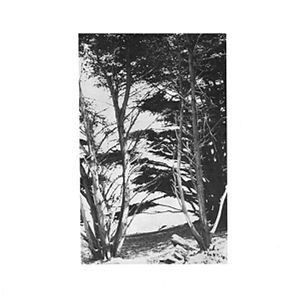 Gentle Wilderness (Vinyl), Rick Deitrick