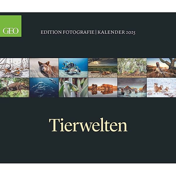 GEO Edition - Tierwelten Wandkalender 2025 - Beeindruckender Kalender für Tierfotografie, Grossformat 70x60 cm, mit Einzigartigen Aufnahmen aus der Tierwelt