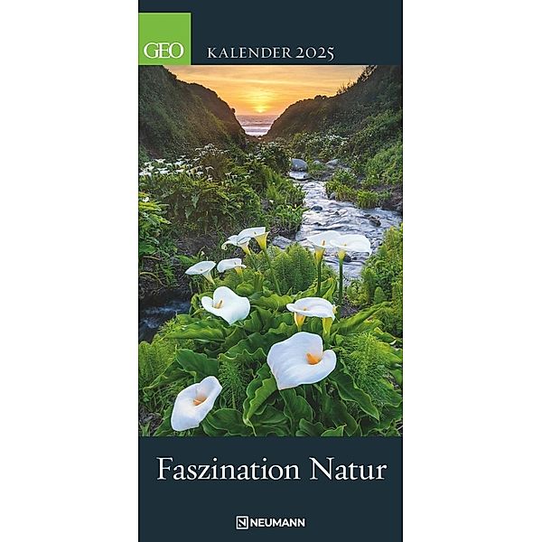 GEO - Faszination Natur Wandkalender 2025 - Atemberaubender Kalender mit Naturphänomenen, Schmales Format 22x45 cm, mit Einzigartigen Naturlandschafts-Fotografien