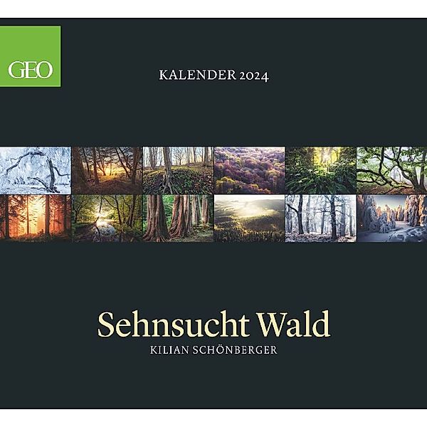 GEO Kalender: Sehnsucht Wald 2024 - Wand-Kalender - Natur-Kalender - 60x55