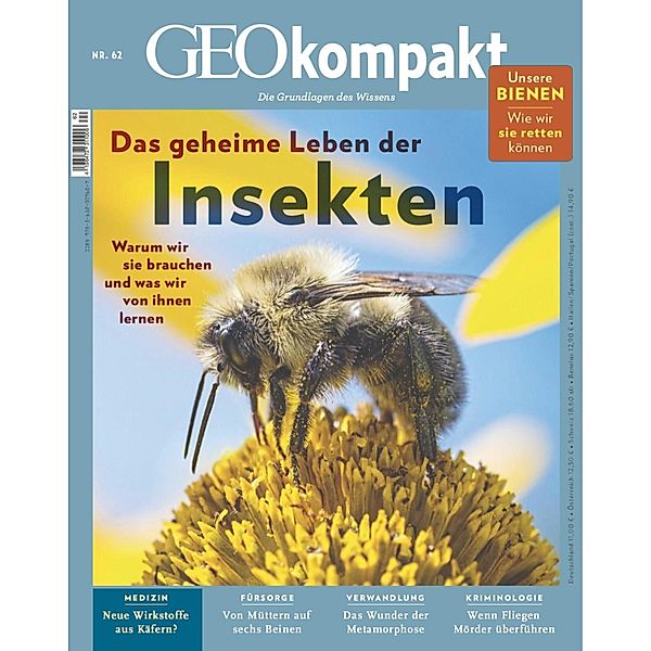 GEO kompakt 62/2020 - Das geheime Leben der Insekten / GEO kompakt Bd.62, GEO kompakt Redaktion
