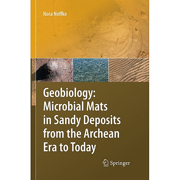 Geobiology, Nora Noffke