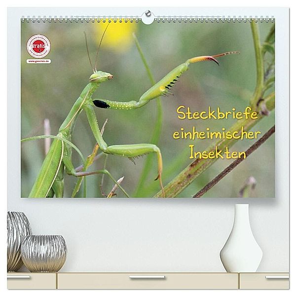 GEOclick Lernkalender: Insekten (hochwertiger Premium Wandkalender 2025 DIN A2 quer), Kunstdruck in Hochglanz, Calvendo, Klaus Feske