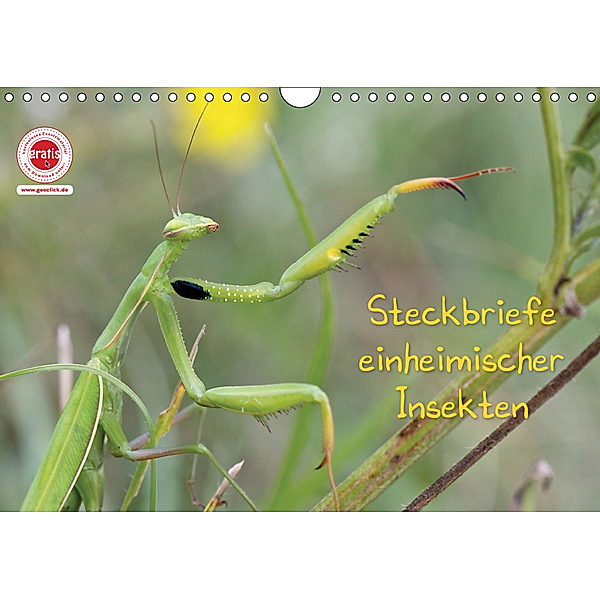 GEOclick Lernkalender: Insekten (Wandkalender 2019 DIN A4 quer), Klaus Feske
