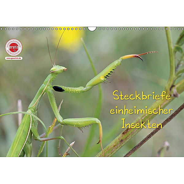 GEOclick Lernkalender: Insekten (Wandkalender 2019 DIN A3 quer), Klaus Feske