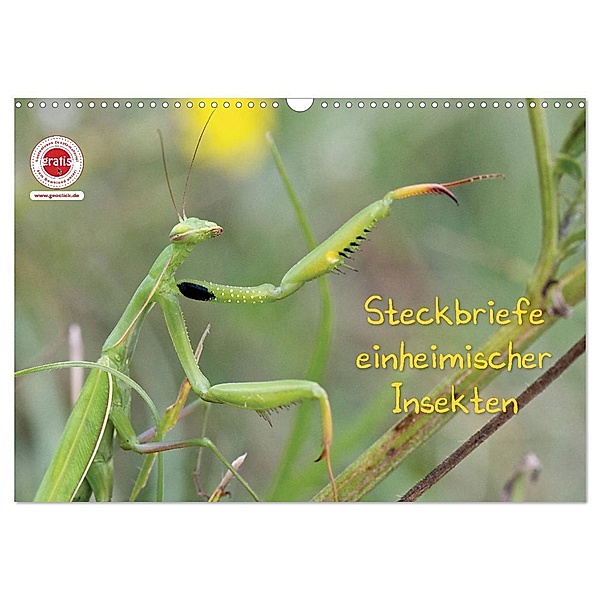 GEOclick Lernkalender: Insekten (Wandkalender 2024 DIN A3 quer), CALVENDO Monatskalender, Klaus Feske