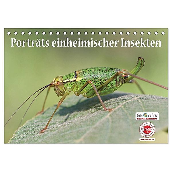 GEOclick Lernkalender: Porträts einheimischer Insekten (Tischkalender 2024 DIN A5 quer), CALVENDO Monatskalender, Klaus Feske /GEOclick