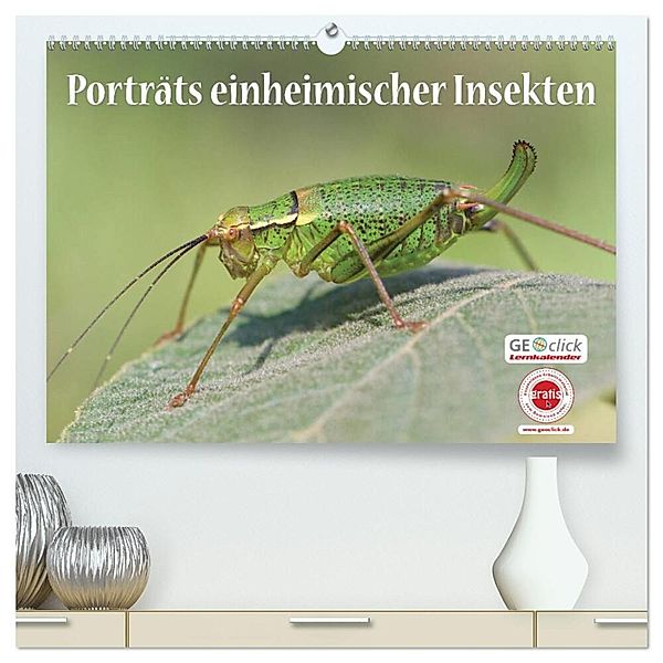 GEOclick Lernkalender: Porträts einheimischer Insekten (hochwertiger Premium Wandkalender 2024 DIN A2 quer), Kunstdruck in Hochglanz, Klaus Feske /GEOclick