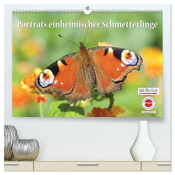 GEOclick Lernkalender: Porträts einheimischer Schmetterlinge (hochwertiger Premium Wandkalender 2025 DIN A2 quer), Kunstdruck in Hochglanz, Calvendo, Klaus Feske / GEOclick Lernkalender