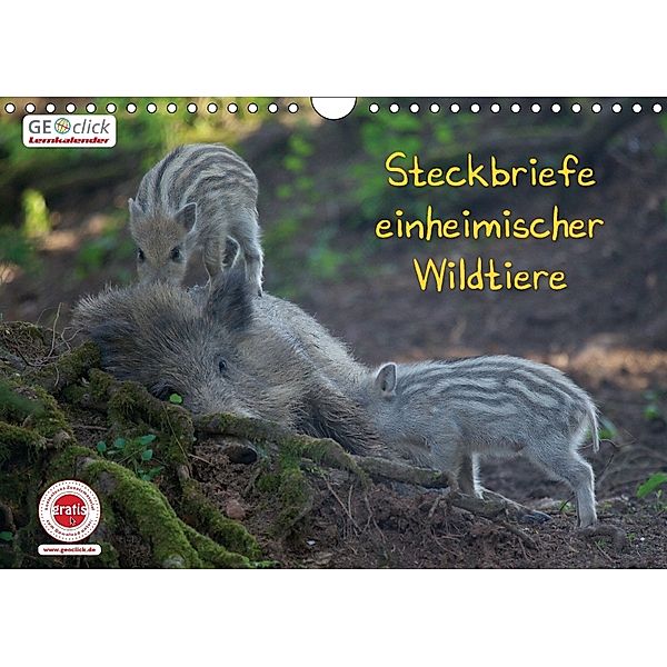 GEOclick Lernkalender: Steckbriefe einheimischer Wildtiere (Wandkalender 2018 DIN A4 quer) Dieser erfolgreiche Kalender, Klaus Feske