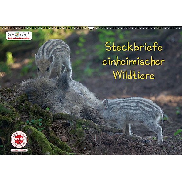 GEOclick Lernkalender: Steckbriefe einheimischer Wildtiere (Wandkalender 2019 DIN A2 quer), Klaus Feske