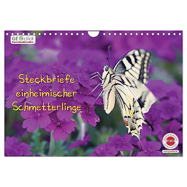 GEOclick Lernkalender: Steckbriefe einheimischer Schmetterlinge (Wandkalender 2024 DIN A4 quer), CALVENDO Monatskalender, Klaus Feske