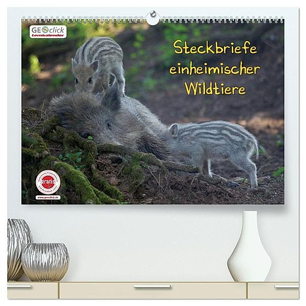 GEOclick Lernkalender: Steckbriefe einheimischer Wildtiere (hochwertiger Premium Wandkalender 2024 DIN A2 quer), Kunstdruck in Hochglanz, Klaus Feske