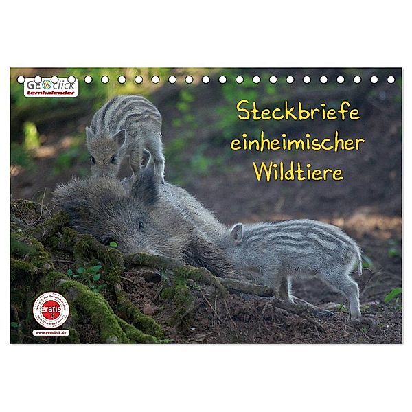 GEOclick Lernkalender: Steckbriefe einheimischer Wildtiere (Tischkalender 2024 DIN A5 quer), CALVENDO Monatskalender, Klaus Feske