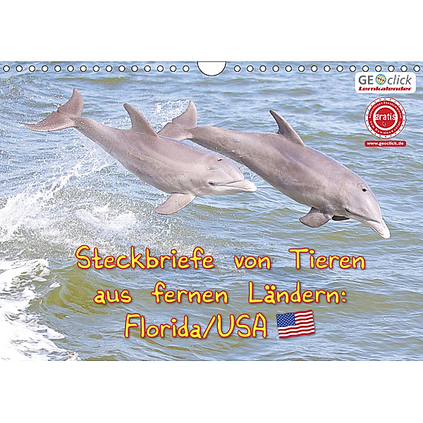 GEOclick Lernkalender: Steckbriefe von Tieren aus fernen Ländern: Florida/USA (Wandkalender 2019 DIN A4 quer), Klaus Feske