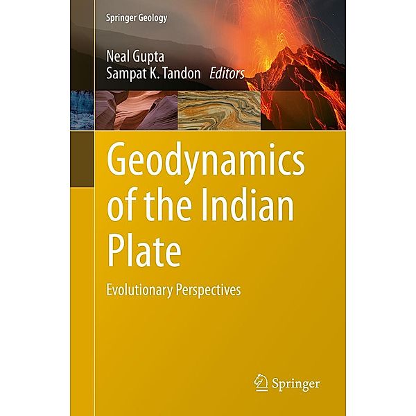 Geodynamics of the Indian Plate / Springer Geology