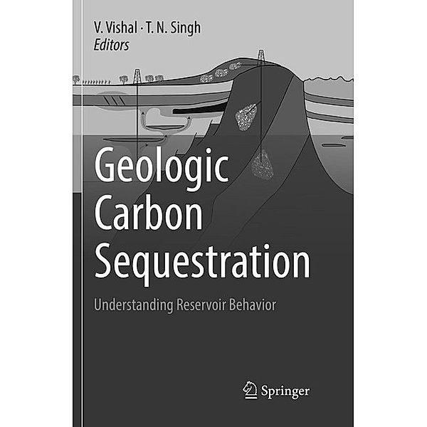 Geologic Carbon Sequestration