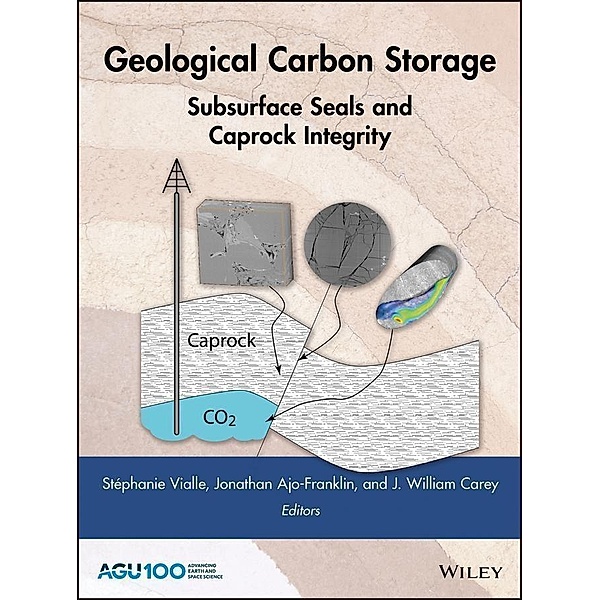 Geological Carbon Storage / Geophysical Monograph Series