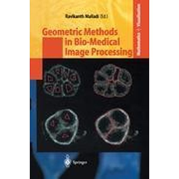 Geometric Methods in Bio-Medical Image Processing