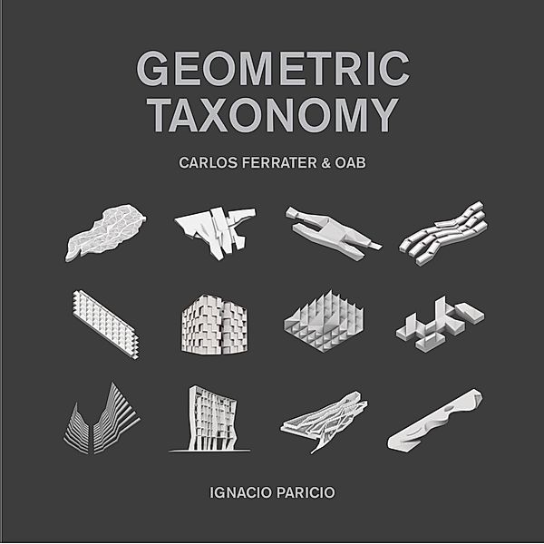 Geometric Taxonomy, Ignacio Paricio