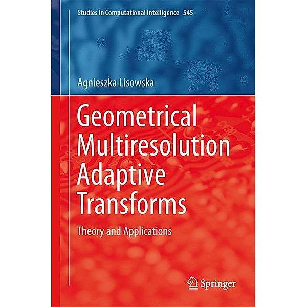 Geometrical Multiresolution Adaptive Transforms, Agnieszka Lisowska