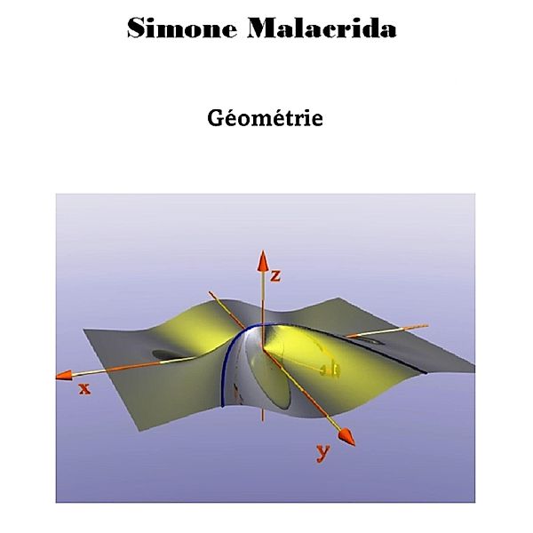 Géométrie, Simone Malacrida