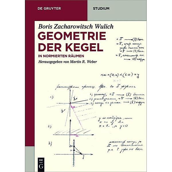 Geometrie der Kegel / De Gruyter Studium, Boris Zacharowitsch Wulich