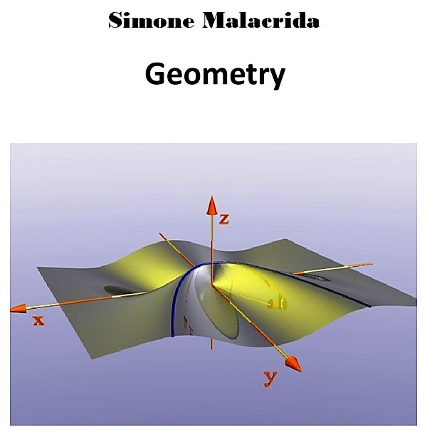 Geometry, Simone Malacrida