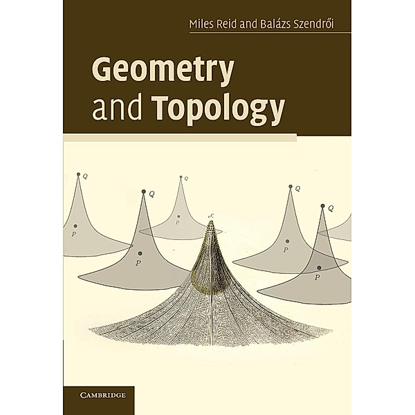 Geometry and Topology, Miles Reid, Balazs Szendroi