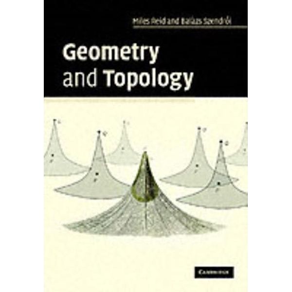Geometry and Topology, Miles Reid
