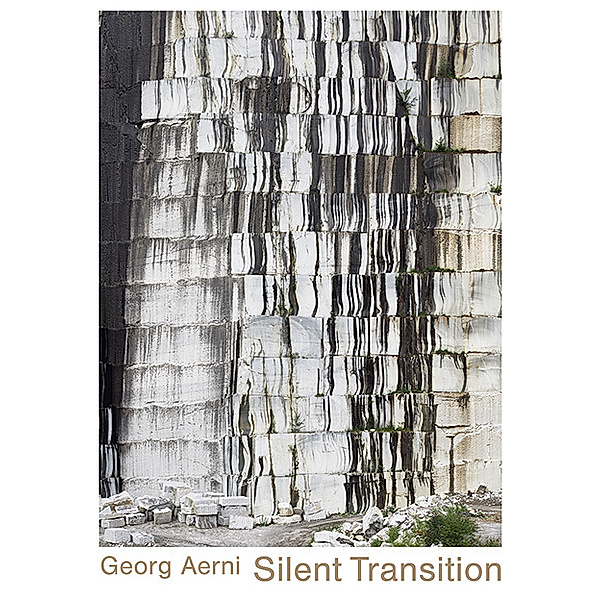 Georg Aerni - Silent Transition