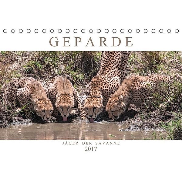 Geparde - Jäger der Savanne (Tischkalender 2017 DIN A5 quer), Andreas Lippmann