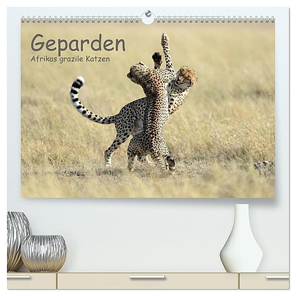 Geparden - Afrikas grazile Katzen (hochwertiger Premium Wandkalender 2024 DIN A2 quer), Kunstdruck in Hochglanz, Thorsten Jürs