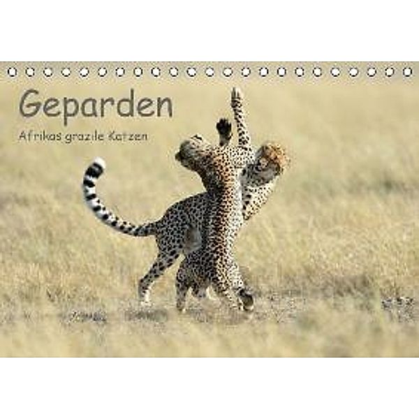 Geparden - Afrikas grazile Katzen (Tischkalender 2016 DIN A5 quer), Thorsten Jürs