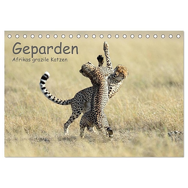 Geparden - Afrikas grazile Katzen (Tischkalender 2024 DIN A5 quer), CALVENDO Monatskalender, Thorsten Jürs