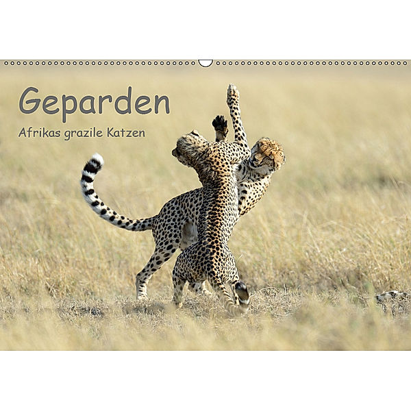 Geparden - Afrikas grazile Katzen (Wandkalender 2019 DIN A2 quer), Thorsten Jürs