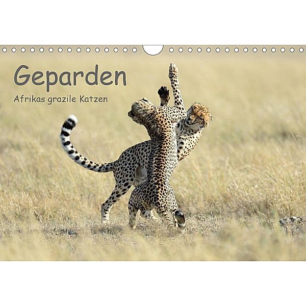 Geparden - Afrikas grazile Katzen (Wandkalender 2020 DIN A4 quer), Thorsten Jürs