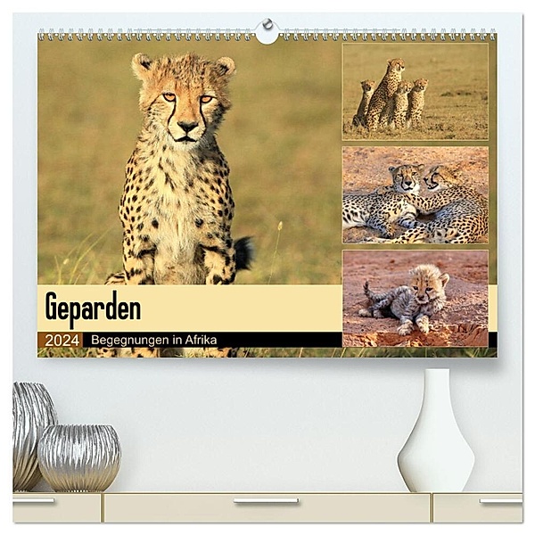 Geparden - Begegnungen in Afrika (hochwertiger Premium Wandkalender 2024 DIN A2 quer), Kunstdruck in Hochglanz, Michael Herzog