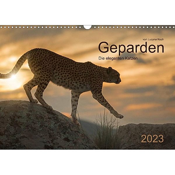 Geparden. Die eleganten Katzen. (Wandkalender 2023 DIN A3 quer), Lucyna Koch