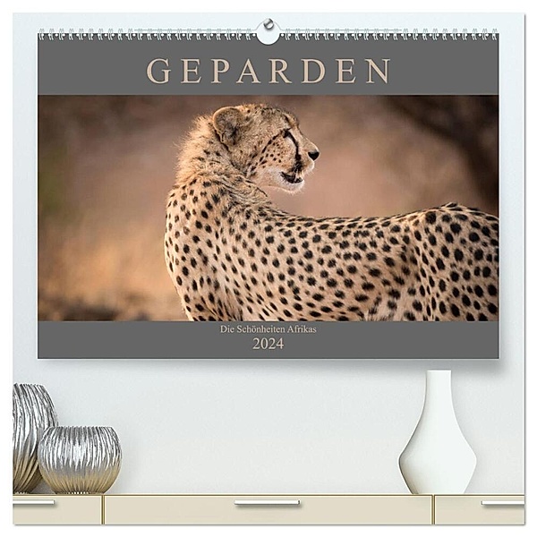 Geparden - Die Schönheiten Afrikas (hochwertiger Premium Wandkalender 2024 DIN A2 quer), Kunstdruck in Hochglanz, Markus Pavlowsky