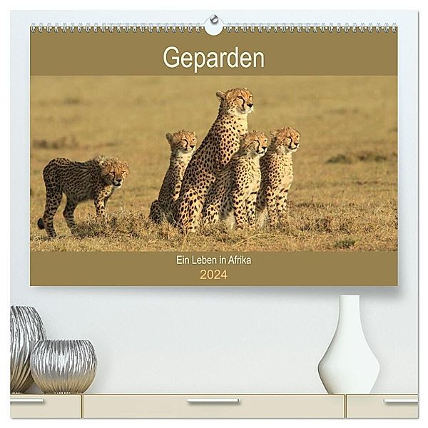 Geparden - Ein Leben in Afrika (hochwertiger Premium Wandkalender 2024 DIN A2 quer), Kunstdruck in Hochglanz, Michael Herzog