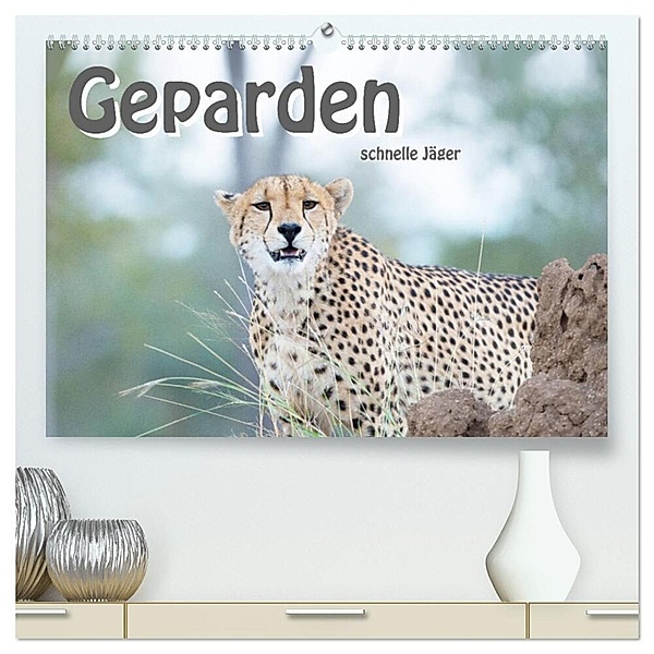 Geparden - schnelle Jäger (hochwertiger Premium Wandkalender 2024 DIN A2 quer), Kunstdruck in Hochglanz, Robert Styppa
